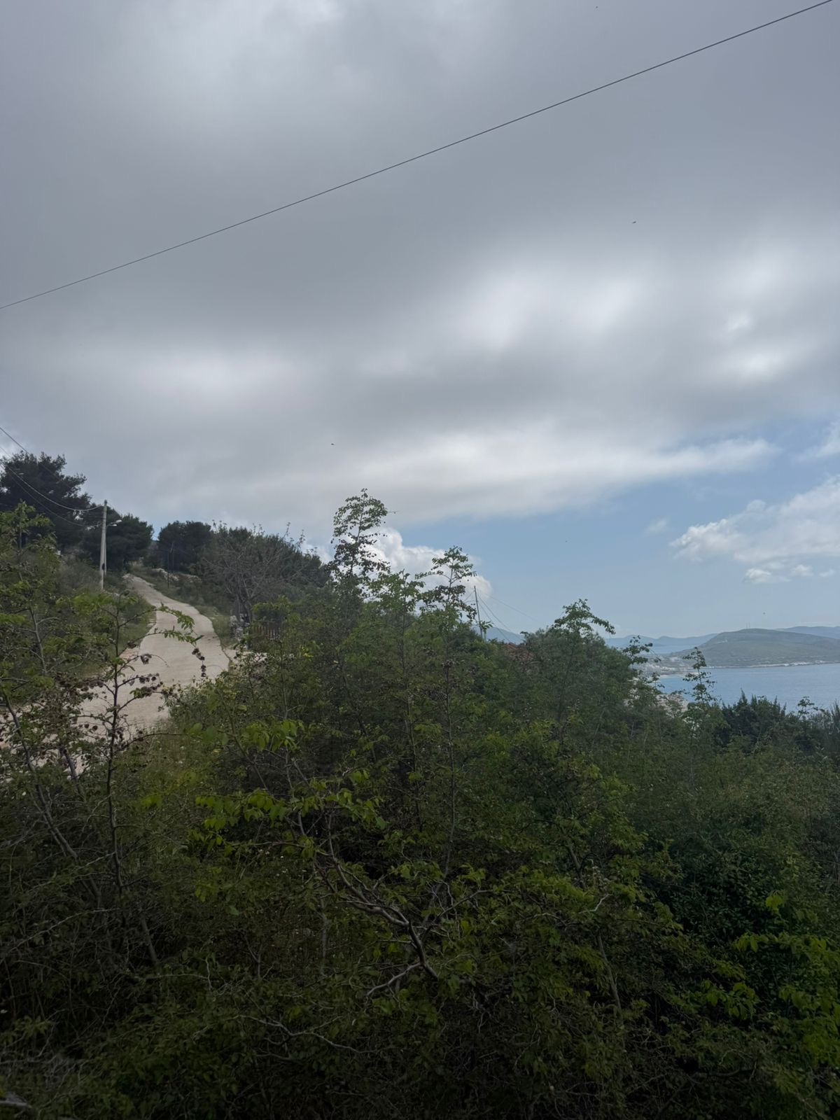 Seaview landscape