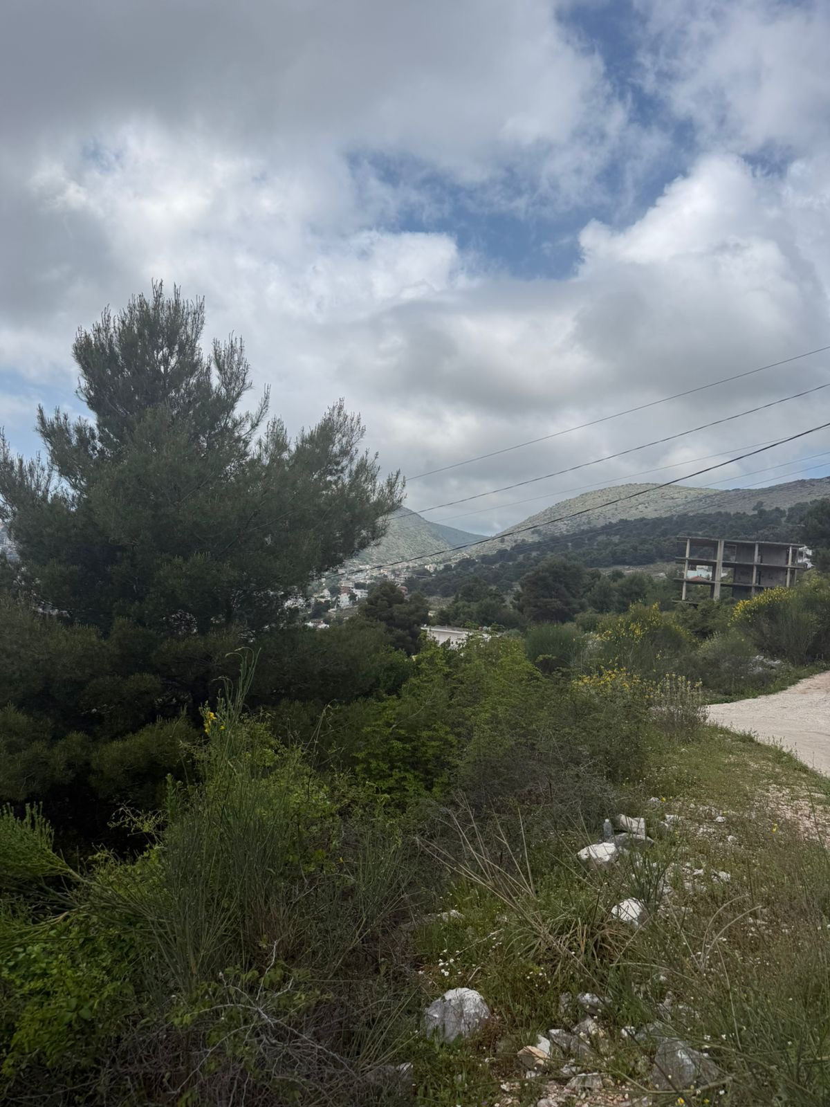Seaview landscape (#{i+2})